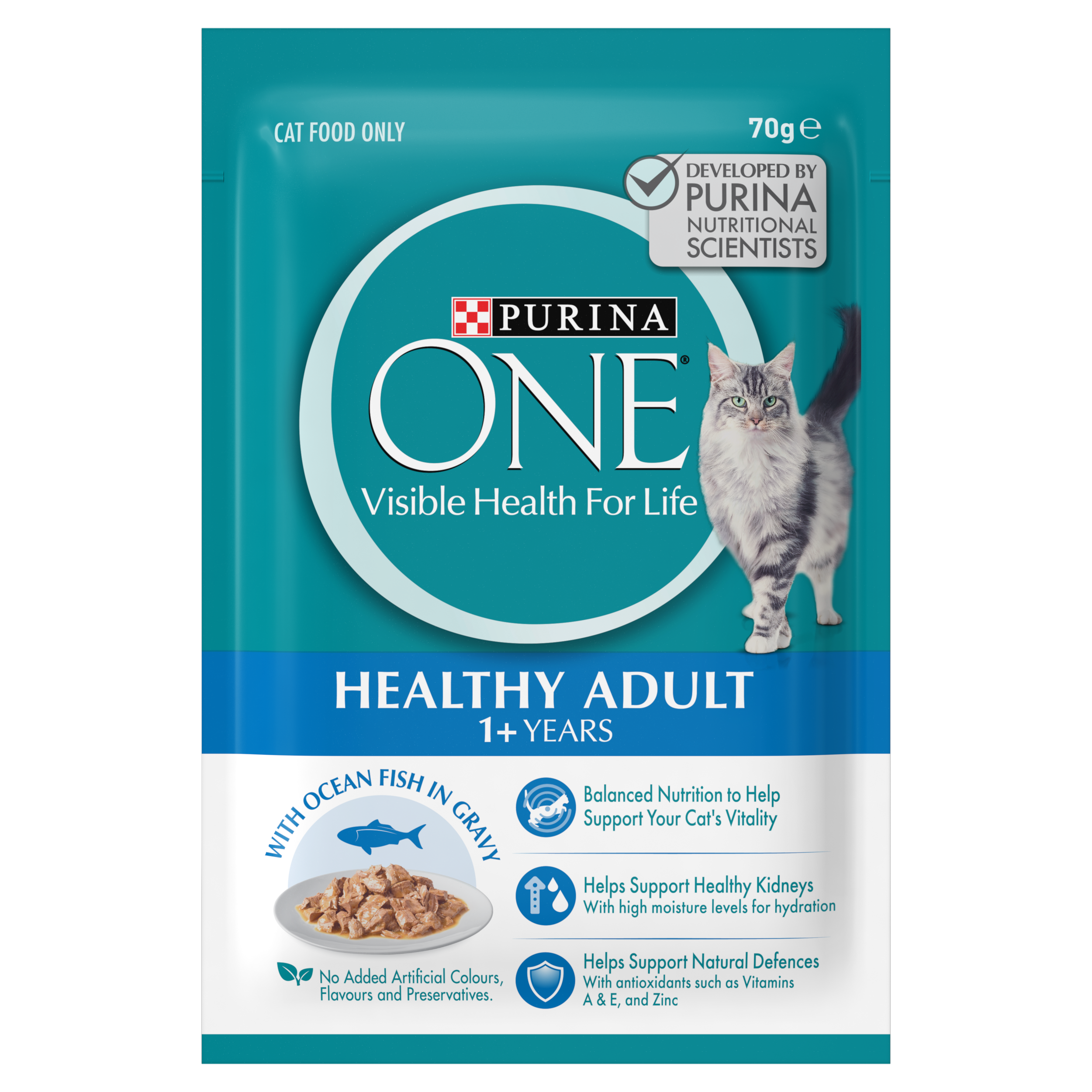 Fish only 2024 cat food